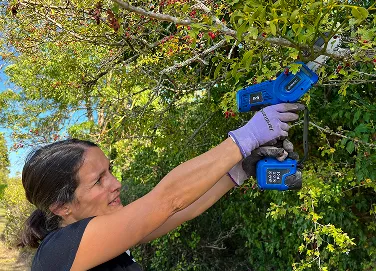 Élagueuse sur perche (var.)