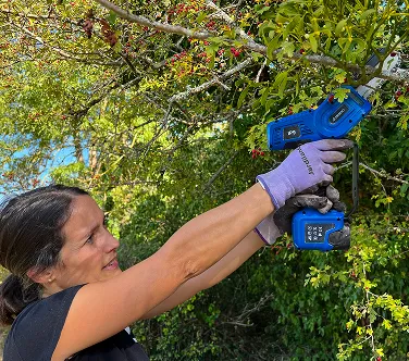 Élagueuse sur perche bleue