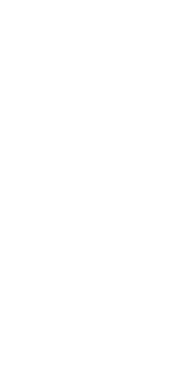 Fond motif feuilles (2)